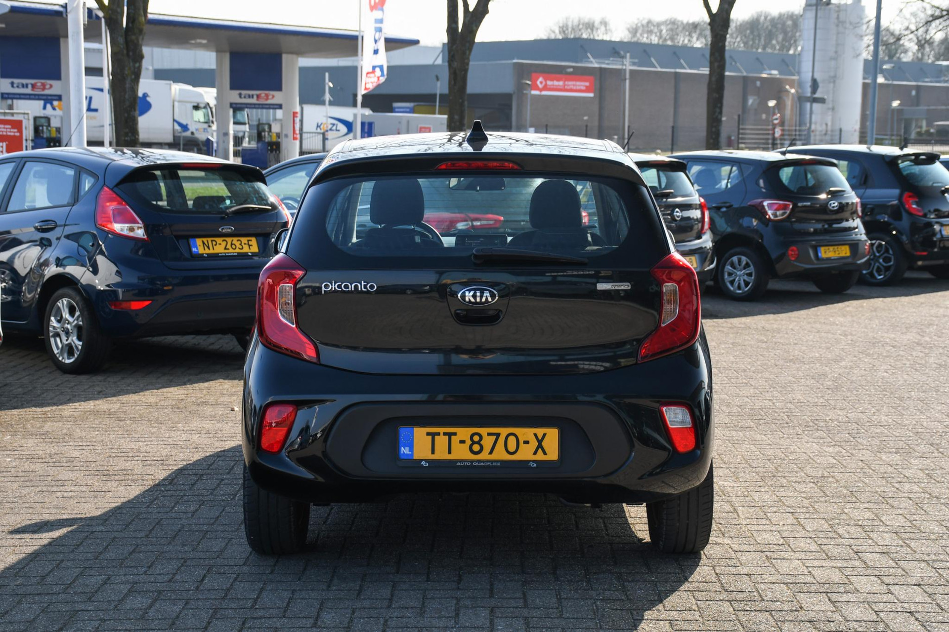 42944708-8.jpg