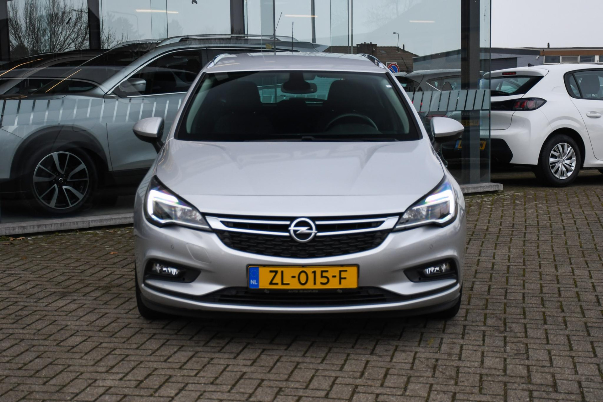 43165040-3.jpg