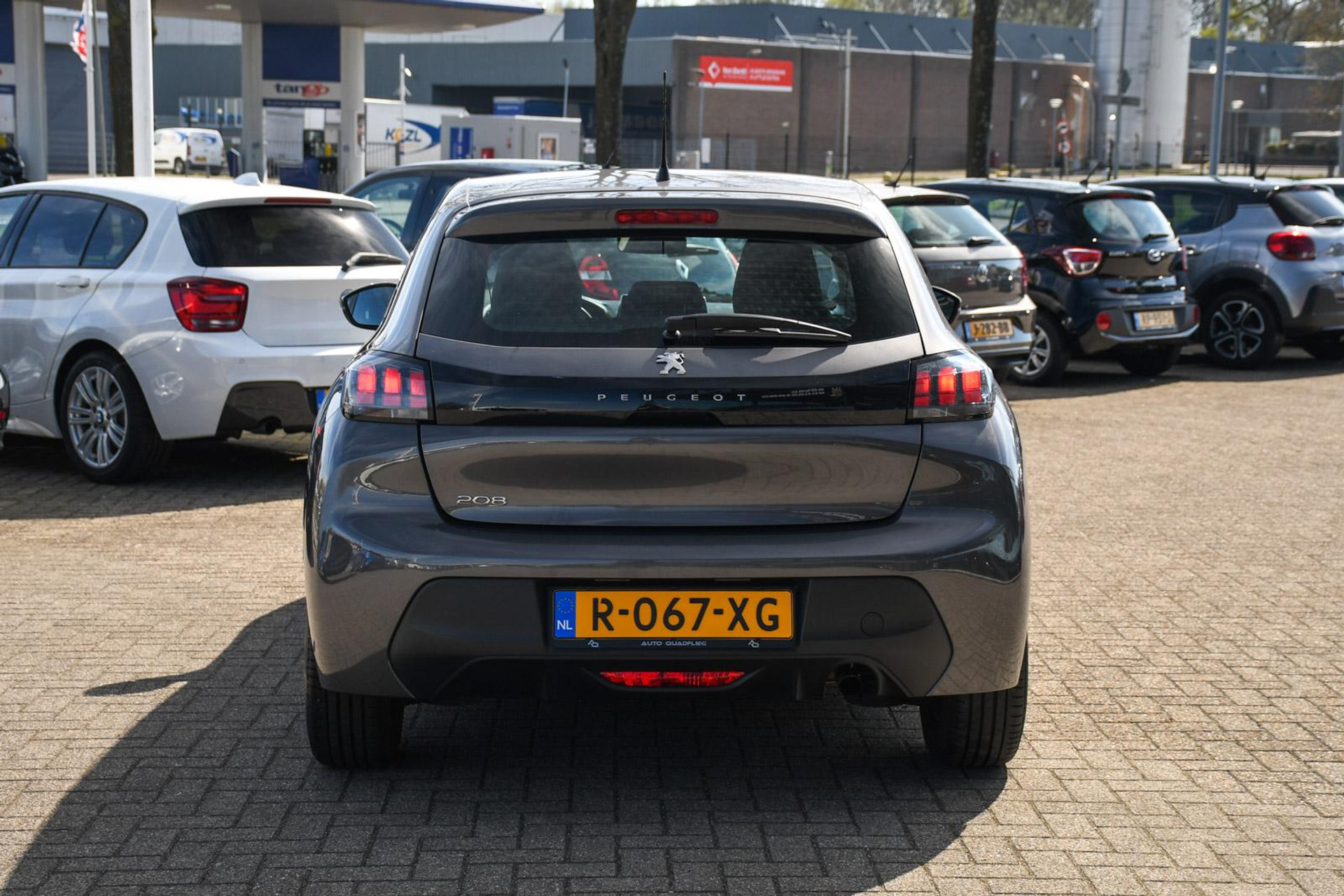 44193522-8.jpg
