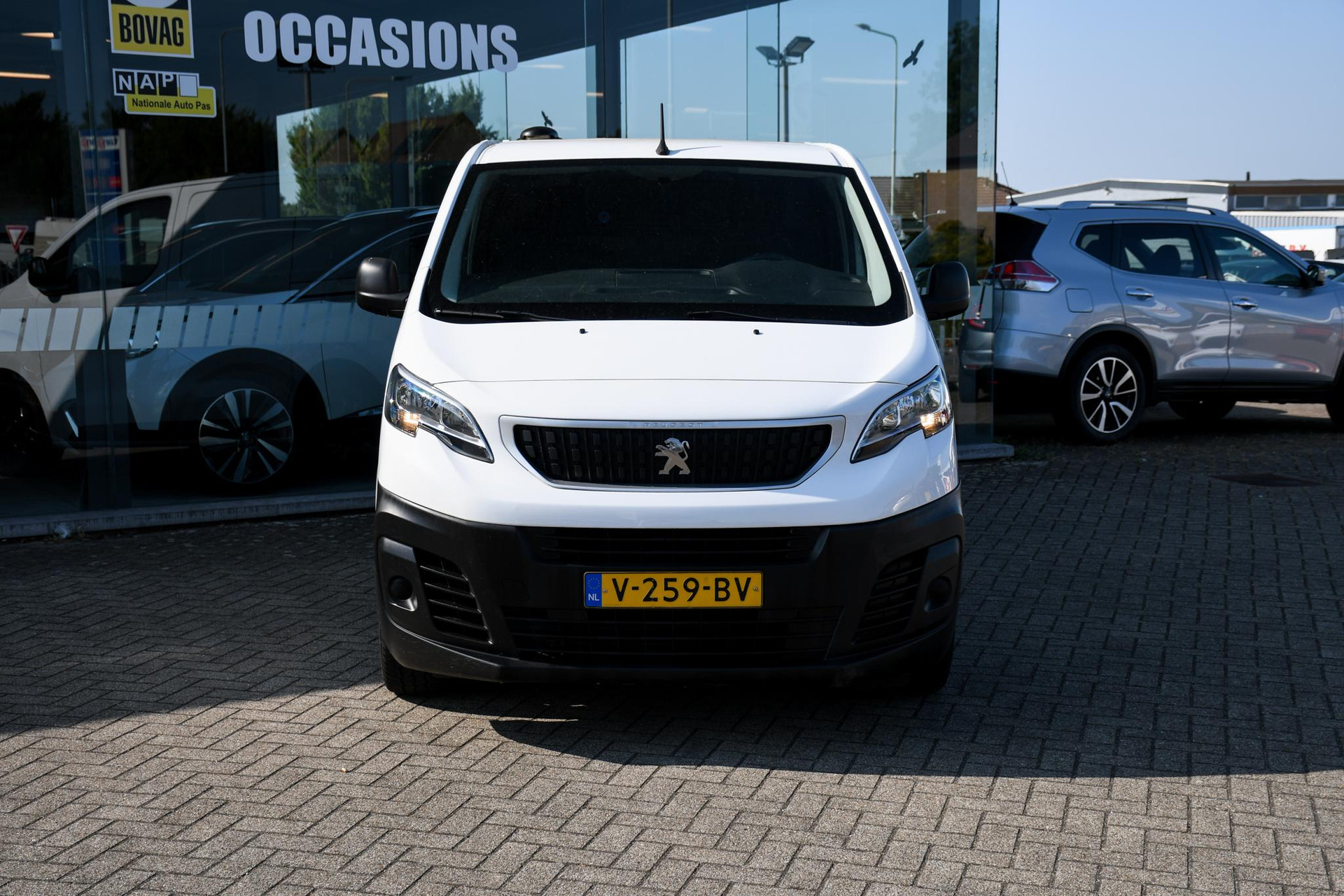 45293600-3.jpg