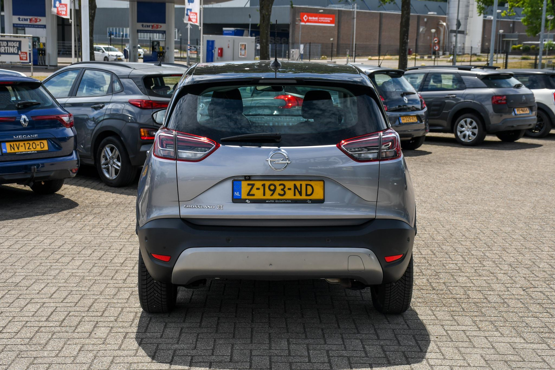 45372732-8.jpg