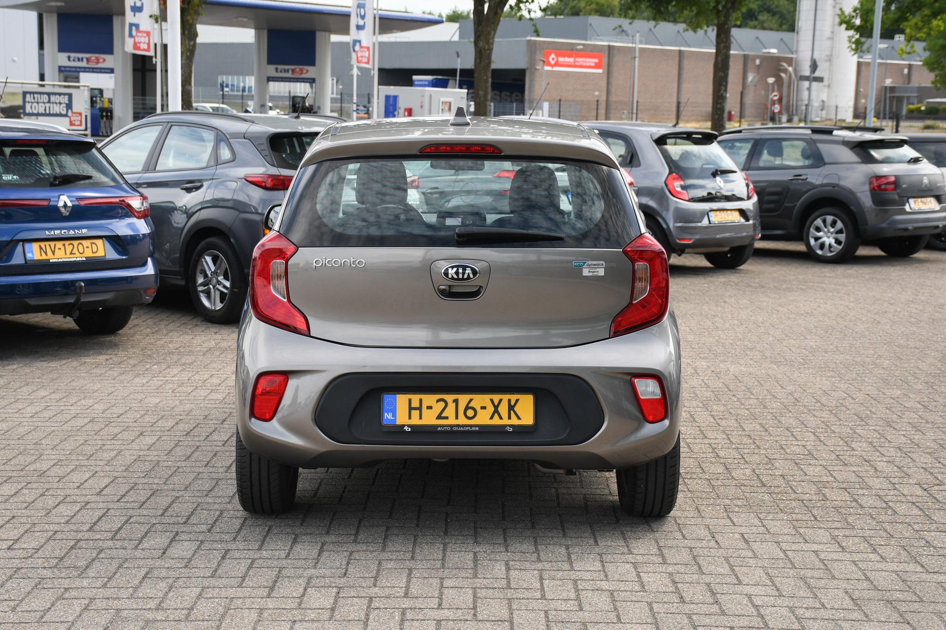 46224934-7.jpg